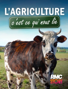 RMC Story - L'agriculture, c'est ce qui nous lie