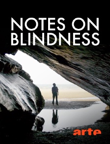 Notes on Blindness