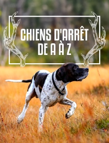 Chiens d'arrêt de A à Z