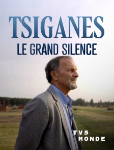 TV5MONDE - Tsiganes, le grand silence
