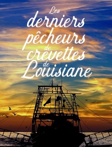 Les derniers pêcheurs de crevettes de Louisiane