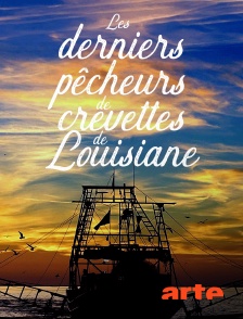 Arte - Les derniers pêcheurs de crevettes de Louisiane
