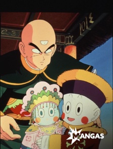 MANGAS - Dragon Ball : l'aventure mystique