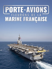 Porte-avions, fleurons de la marine française