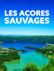 Les Açores sauvages