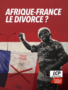 LCP Public Sénat - Afrique-France : le divorce ?