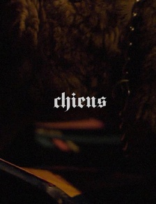 Chiens