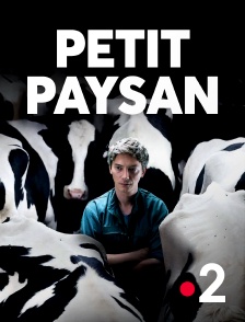 Petit Paysan