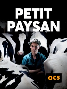 Petit Paysan