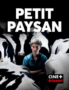 CINE+ Frisson - Petit Paysan