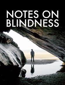 Notes on Blindness