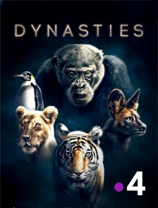 Dynasties