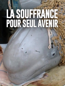 La souffrance pour seul avenir