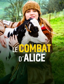 Le combat d'Alice