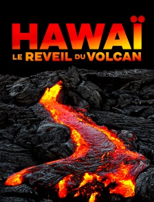 Hawaï, le réveil du volcan