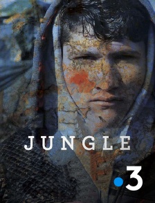 France 3 - Jungle