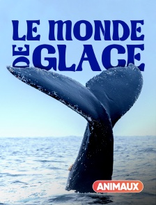 Le monde de glace