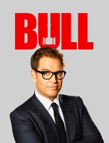 Bull