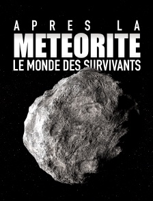 Après la météorite, le monde des survivants