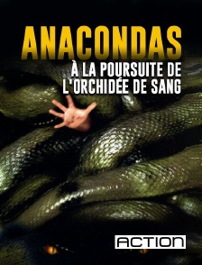 ACTION - Anacondas : à la poursuite de l'orchidée de sang
