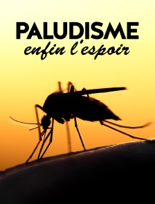 Paludisme, enfin l'espoir