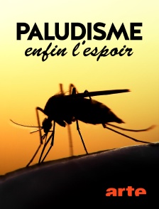 Arte - Paludisme, enfin l'espoir