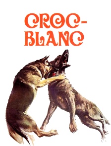 Croc-Blanc
