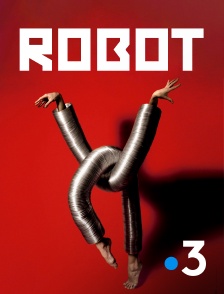 France 3 - Robot !