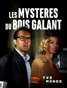 TV5MONDE - Les mystères du Bois Galant