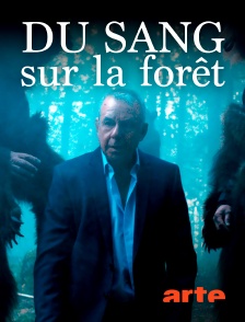 Du sang sur la forêt