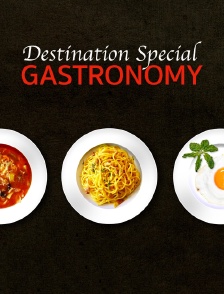 Destination Special : Gastronomy