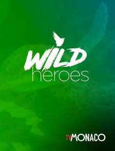Wild Heroes