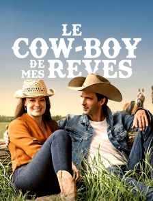 Le cow-boy de mes rêves