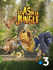 France 3 - Les as de la jungle