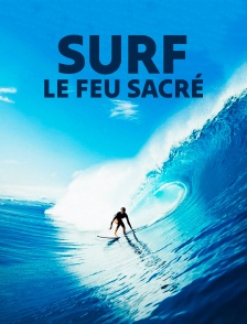 Surf, le feu sacré