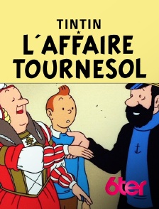 6ter - L'affaire Tournesol