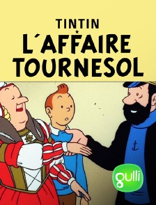 Gulli - L'affaire Tournesol