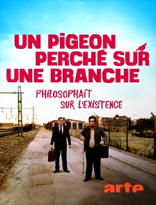 Un pigeon perché sur une branche philosophait sur l’existence