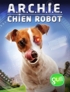 Gulli - A.R.C.H.I.E.