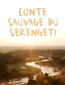 Conte sauvage du Serengeti