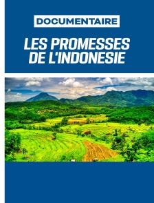 Les promesses de l'Indonésie