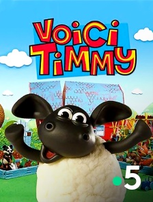 France 5 - Voici Timmy