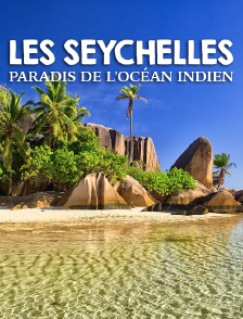Les Seychelles, paradis de l'océan Indien
