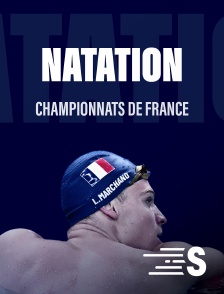 Sport en France - Natation : Championnats de France
