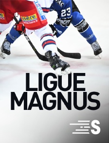 Hockey sur glace - Ligue Magnus
