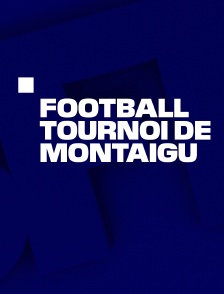 Football : Tournoi de Montaigu