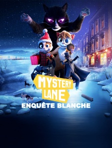 Mystery Lane, Enquête blanche