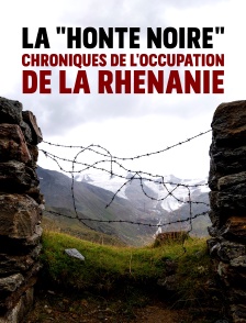 La "honte noire" : chroniques de l'occupation de la Rhénanie