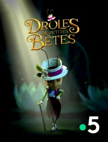 Droles de petites bêtes