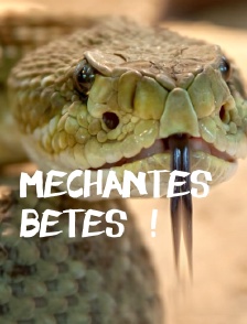 Méchantes bêtes !